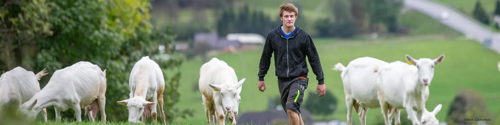 Diálogo estratégico sobre el futuro de la agricultura en la UE