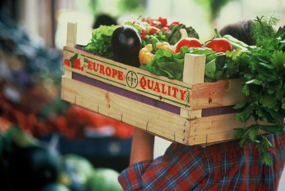 Seguridad alimentaria en la UE