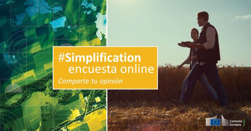 Simplification encuesta online