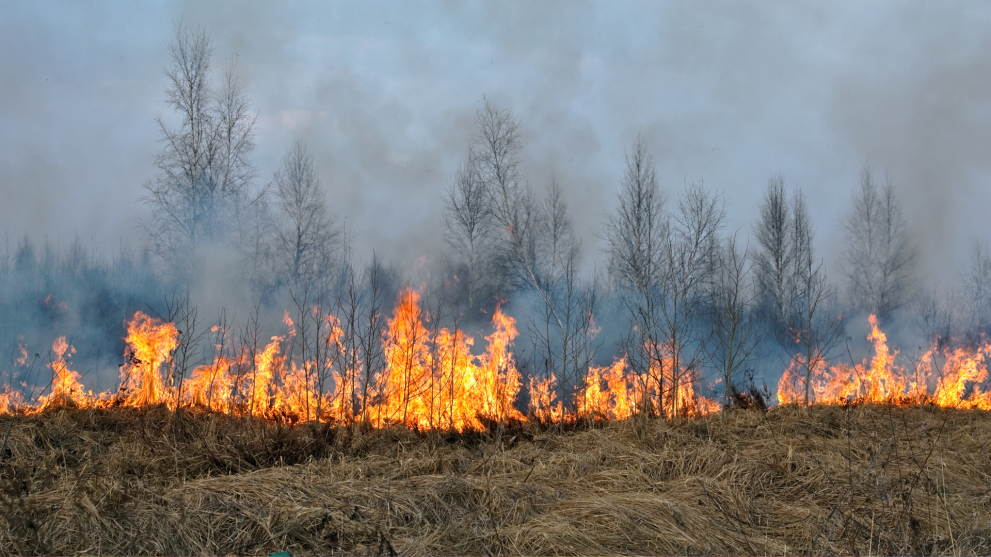 La UE moviliza ayuda para los incendios forestales en Grecia