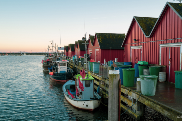 Mar Báltico: alcanzado un acuerdo sobre las posibilidades de pesca para 2023